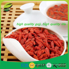 Saúde Jumbo lobo baga orgânico Secado Goji Berry